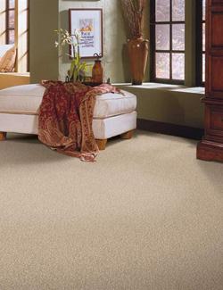 carpet flooring with an ottoman with a throw blanket and earthy décor 